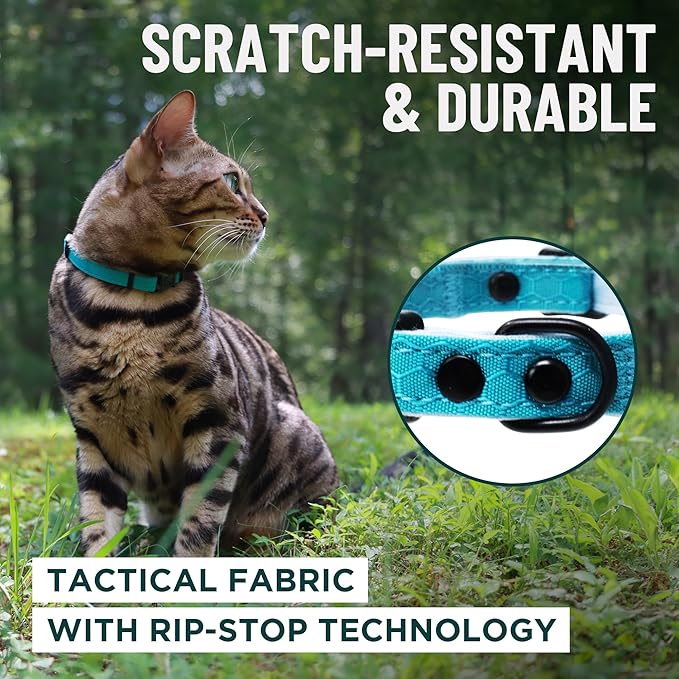 OutdoorBengal Pink Breakaway Kitten Collar - Image 4