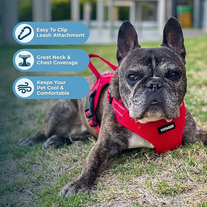 Best Pet Supplies Voyager Adjustable Step-in Flex Breathable Mesh Dog Harness - Image 6