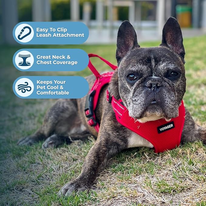 Best Pet Supplies Voyager Adjustable Step-in Flex Breathable Mesh Dog Harness - Image 5