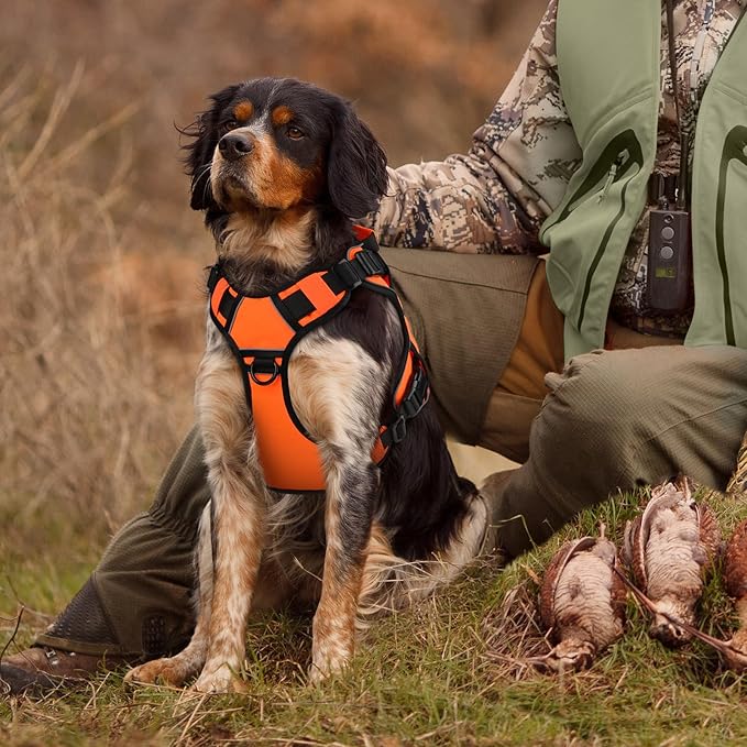 WINGOIN Orange Tactical Dog Harness - Image 6