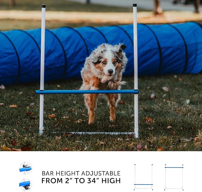 Better Sporting Dogs 3 Piece Essential Dog Agility Equipment Set | Agility Jump - Image 3
