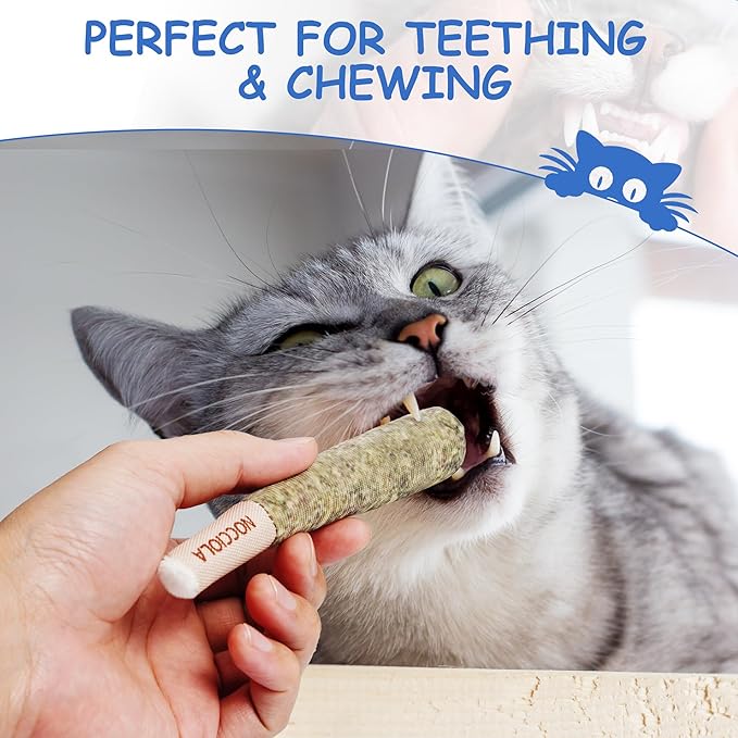 Nocciola 3 Pack Catnip Toys for Cats, Funny Cat Toys Filled - Image 4