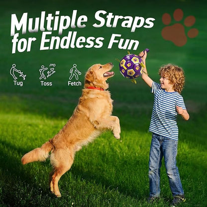 QDAN Extra Large Dog Toys Soccer Ball - Image 4
