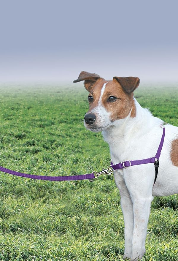 PetSafe Easy Walk No-Pull Dog Harness - Image 2