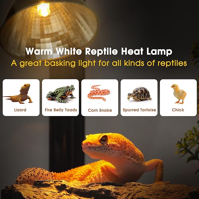 Reptile Heat Lamp, Briignite UVA Basking Light - Image 3