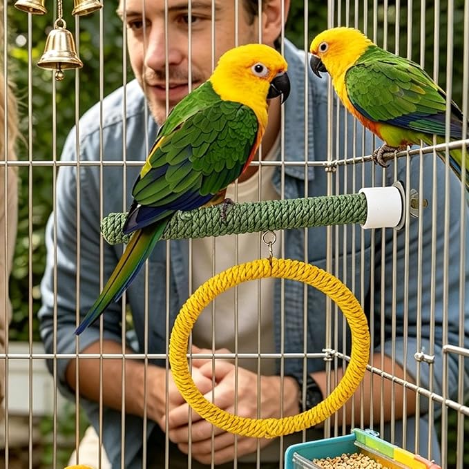 Parrot Swing Toys - Image 3