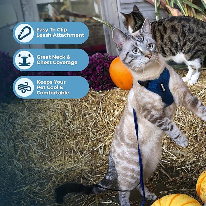 Voyager Escape-Proof Step-in Lock Cat Harness & 5ft Neoprene-Handle Leash Set - Image 6