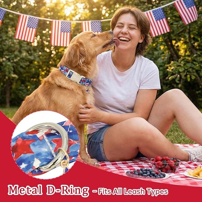 Independence Day Dog Collar, Summer of Patriotism Celebration Dog Collars - Image 5