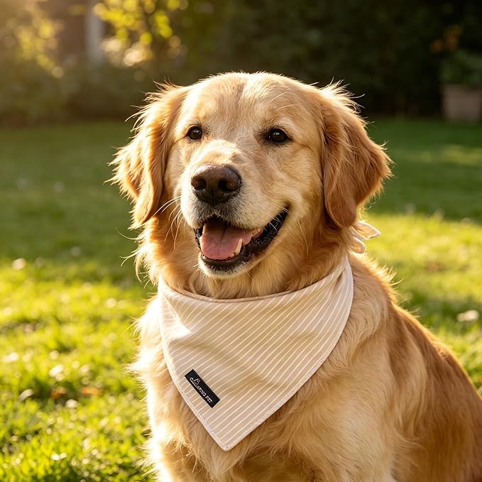 ARING PET Summer Dog Bandana-Cute Khaki Dog Bandanas, Comfortable Pet Scarf - Image 5