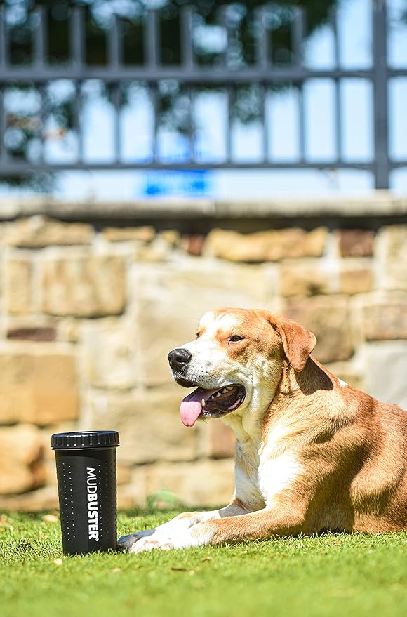 Dexas MudBuster Large Dog Paw Cleaner, Matte Black, Fits 2.5"-3.5" Wide Paws - Image 6