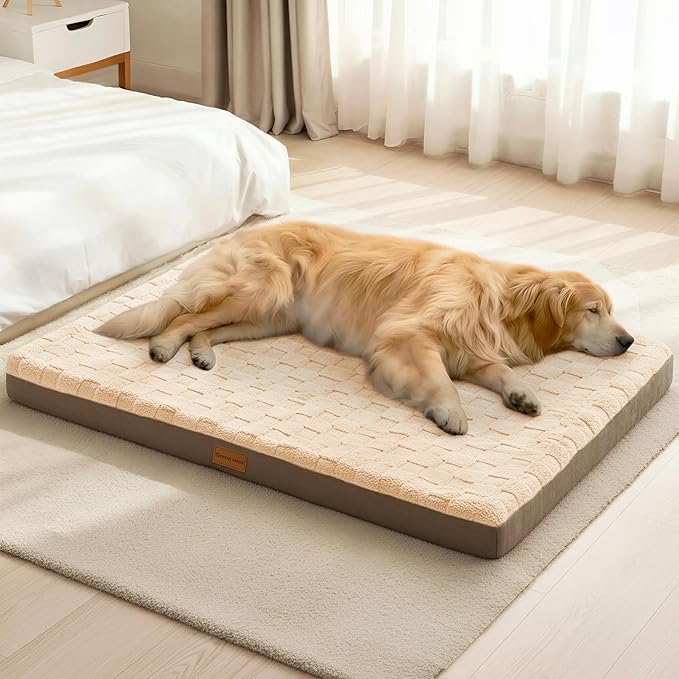 Patas Lague Orthopedic Dog Bed Large Sized Dog 36''X24'', Waterproof Soft by PatasLague