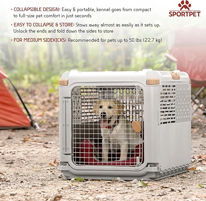 SportPet Designs Collapsible Medium Pet Travel Carrier, Hard-Sided Kennel - Image 2