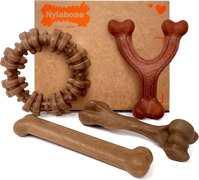 Nylabone Strong Chew Dog Toy 4-Pack Made - Image 11
