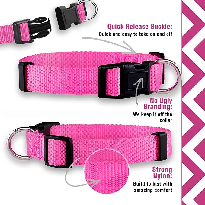 Native Pup Basic Nylon Dog Collar, Adjustable - Image 4