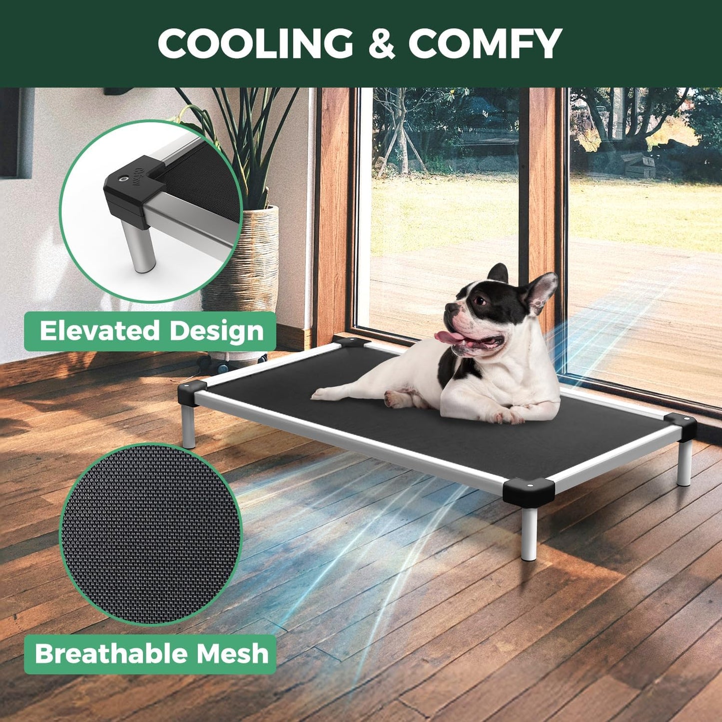 FXW TitanNest Chew-Proof Elevated Dog Bed, Raised Cot for Indoor/Outdoor/Camping Use, Durable & Waterproof Cooling Pet Bed for Small Dogs, 36.0" L x 24.0" W x 4.5" H, Black