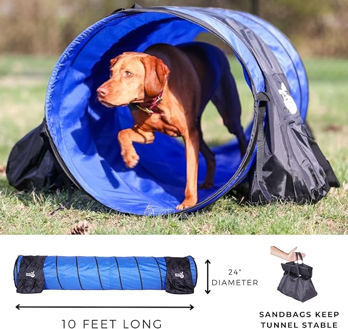 Better Sporting Dogs 3 Piece Essential Dog Agility Equipment Set | Agility Jump - Image 5