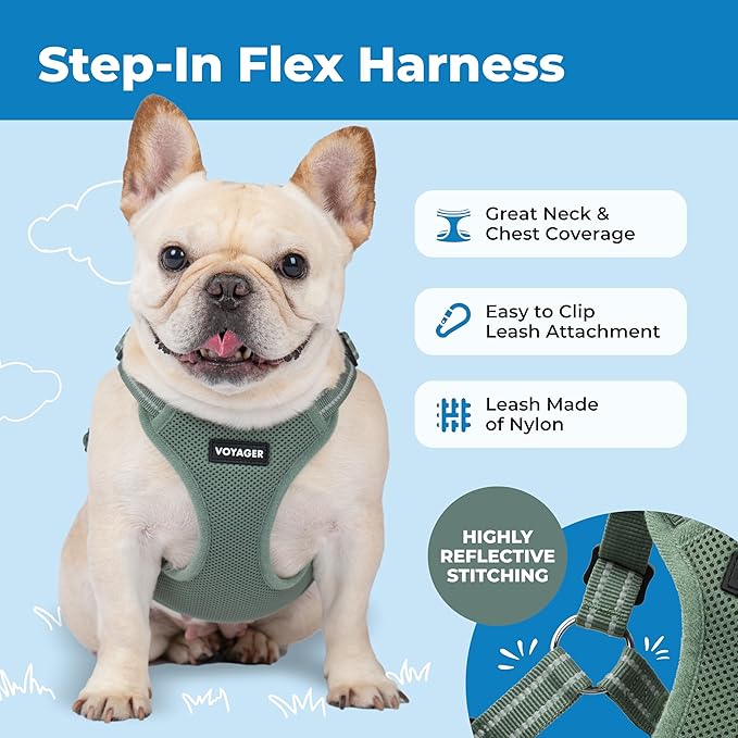 Best Pet Supplies Voyager Adjustable Step-in Flex Breathable Mesh Dog Harness - Image 6