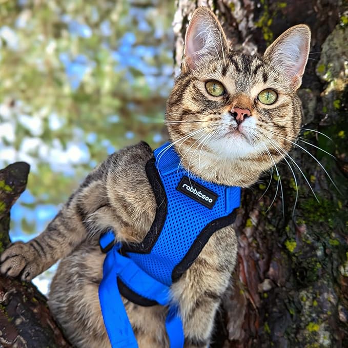 rabbitgoo Cat Harness and Leash Set, Escape Proof Kitten Harness - Image 9