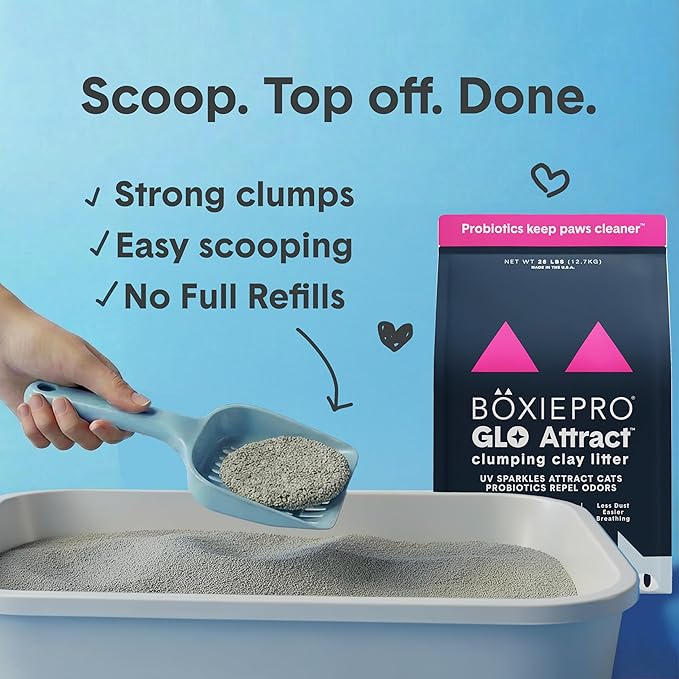 Boxie Glo Clumping Clay 30 Day Odor Control Cat Litter, 99.9% Dust-Free - Image 5