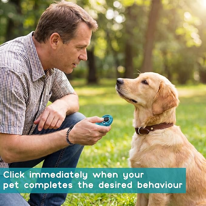 Dog Training Clicker with Sring Wrist and Keyring - Image 6