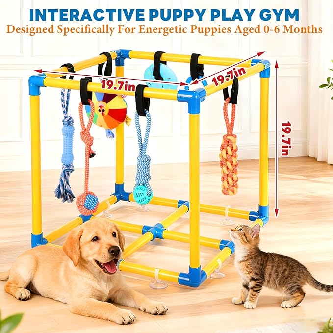 WLLEYAY Puppy Play Gym for Small Dogs - Image 4