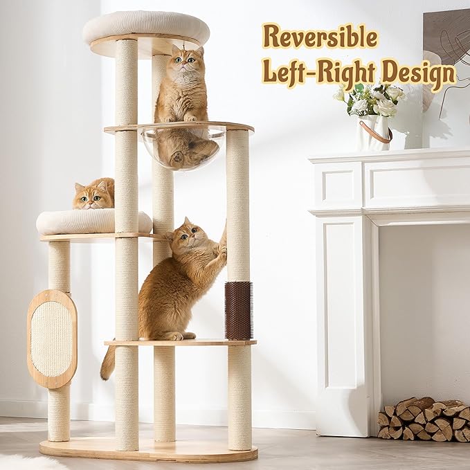 Modern Solid Wood Cat Tree for Indoor Cats Up to 15lbs, Scratcher & - Image 2