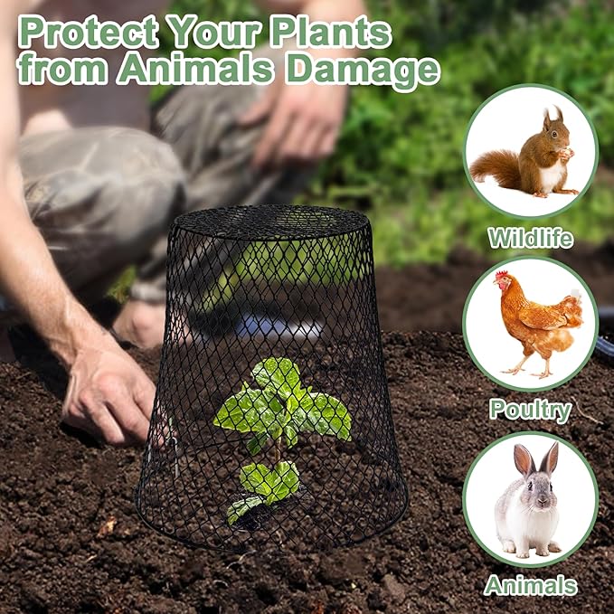 10 Pcs 9.13"×9.13" Chicken Wire Cloche Plant Covers Garden Netting Metal Heavy - Image 6