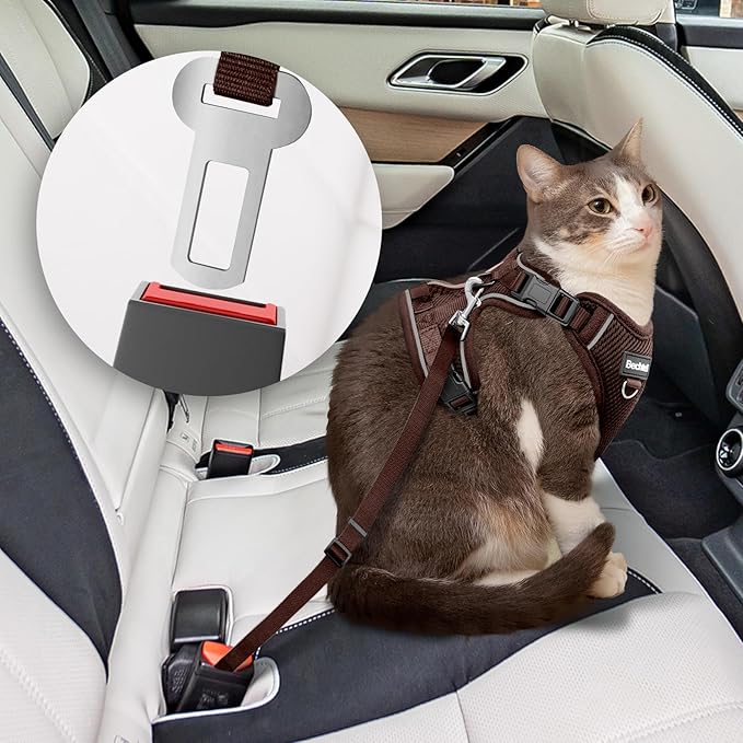 Cat Harness and Leash Set - Image 2