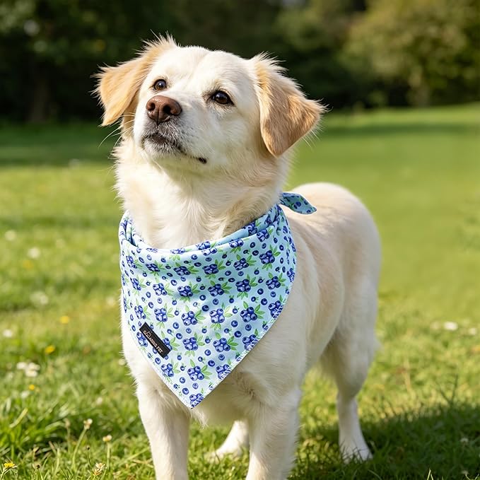 ARING PET Blueberry Dog Bandanas, Cute Blue Pet Bandana Scarf Triangle Bib - Image 4