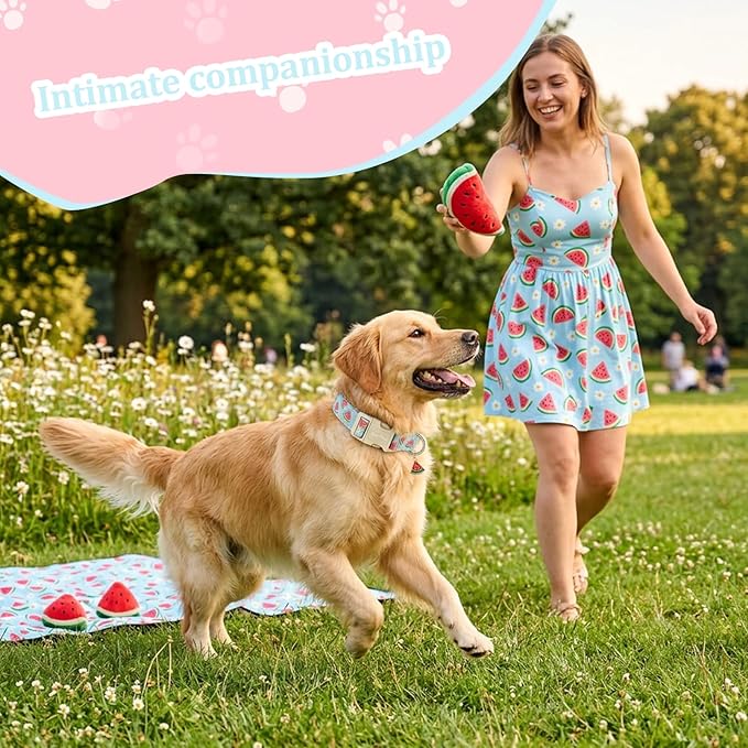 Summer Dog Collar, Cute Light Blue Puppy Collar - Image 5