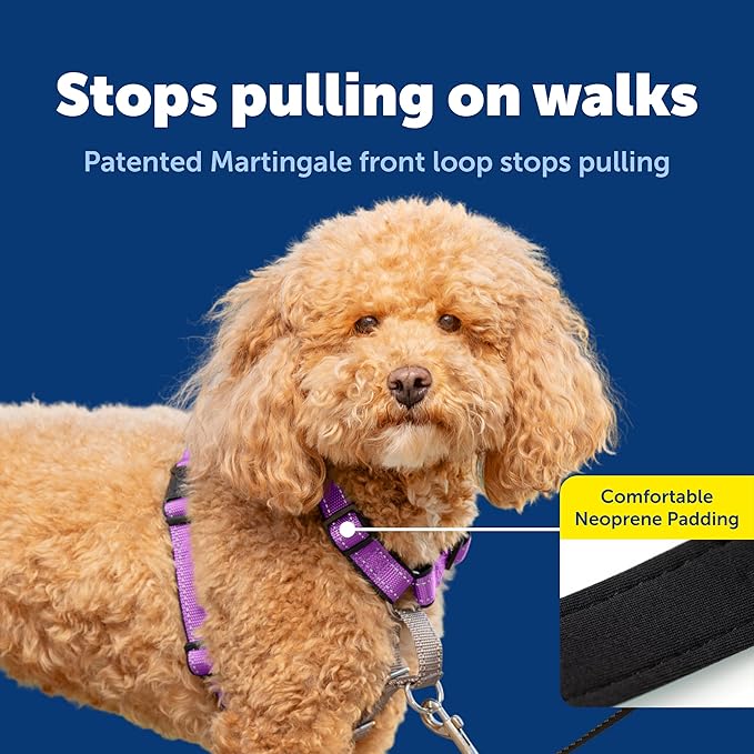 PetSafe 3 in 1 Dog Harness - Image 3