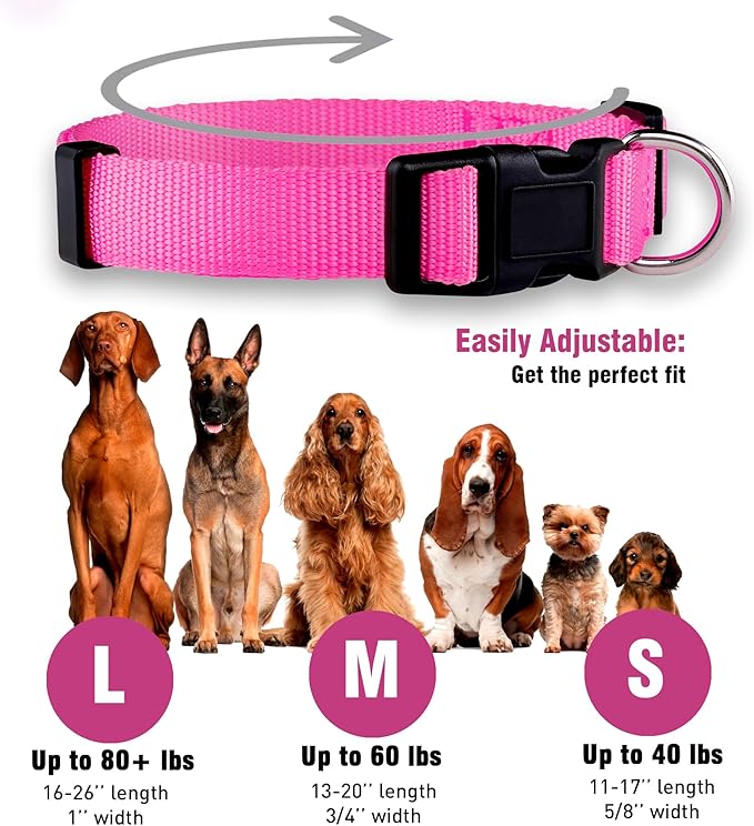 Native Pup Basic Nylon Dog Collar, Adjustable - Image 3