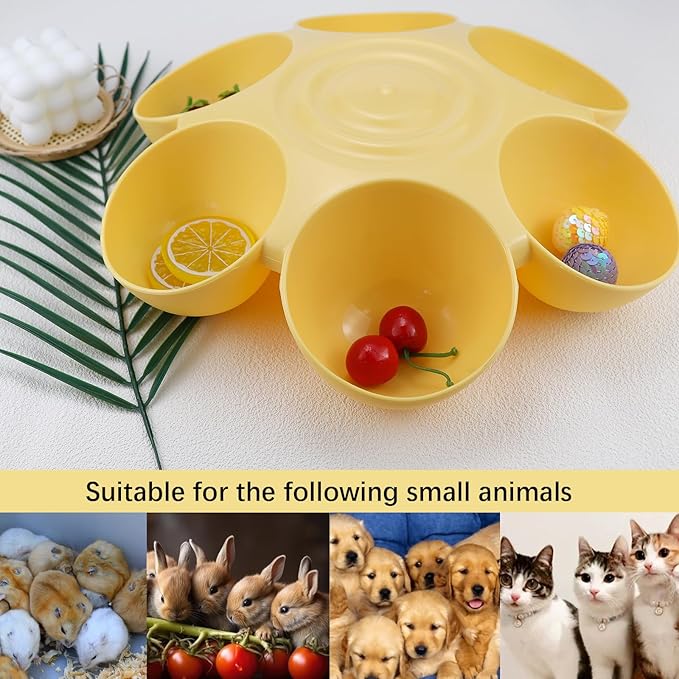 DOERDO Cat Feeding Bowl, Plastic Cat and Dog Food Bowl - Image 6