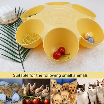DOERDO Cat Feeding Bowl, Plastic Cat and Dog Food Bowl - Image 6