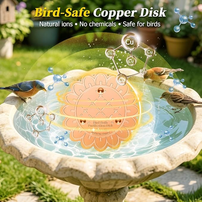 Bird Bath Copper Disk - Image 3