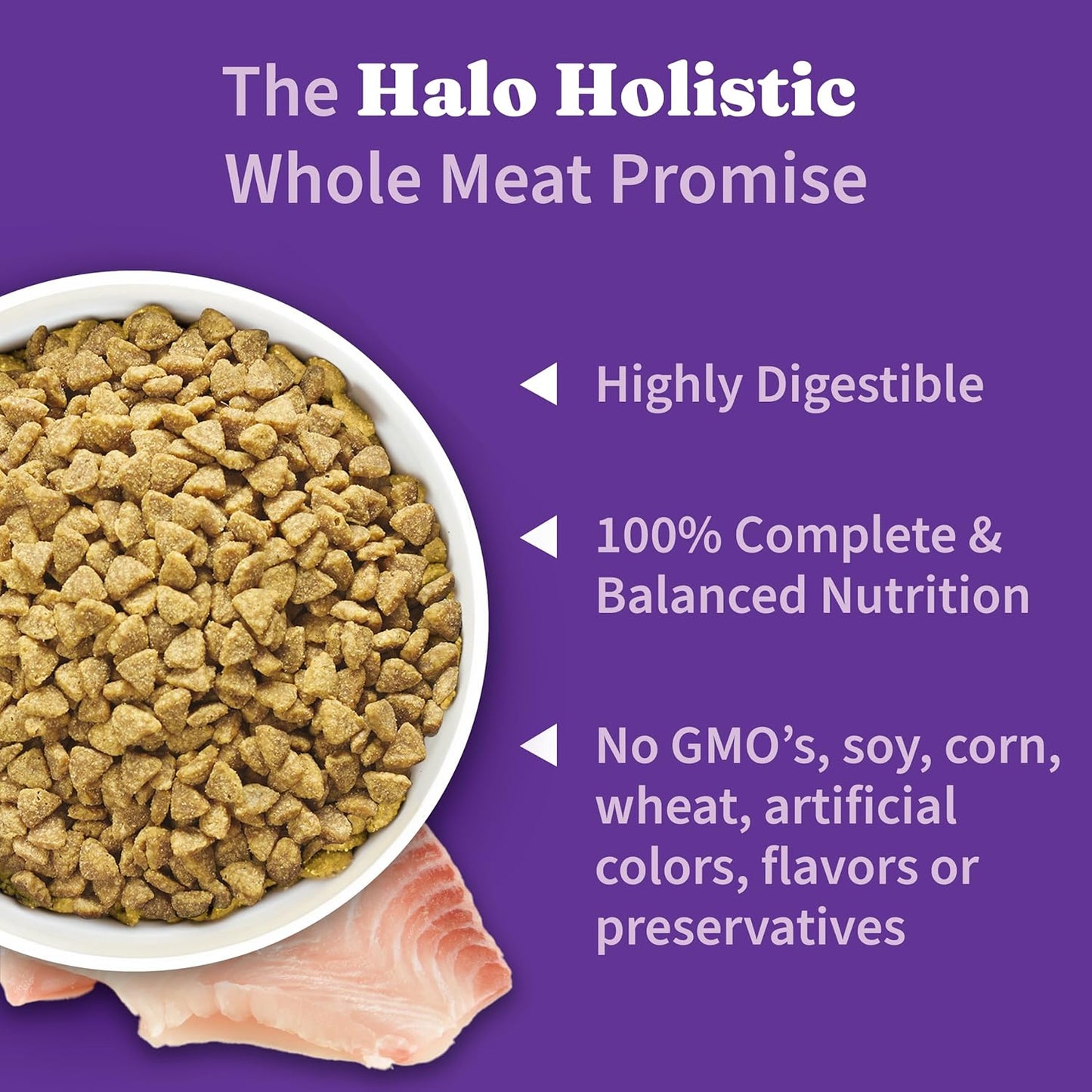 Halo Holistic Cat Food Wild Caught Salmon & Whitefish Formula, Healthy Grains Dry Cat Food, For Sensitive Stomach Support, Kibble for Adult Cats, 10 lb Bag