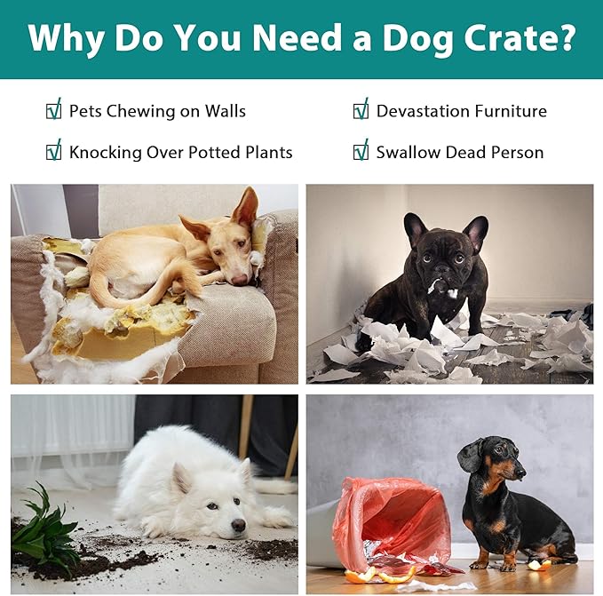 30 Inch Dog Crate, Puppy Crates - Image 2