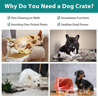 24 Inch Dog Crates for Small Dogs 20LB, Collapsible Dog Cage for Pet - Image 2