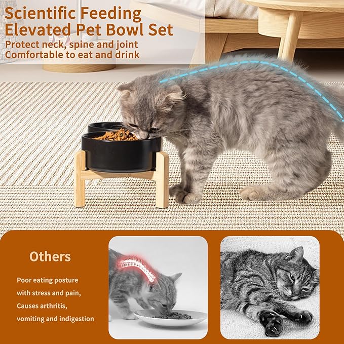 Elevated Ceramic Dog Bowl Set - Image 4