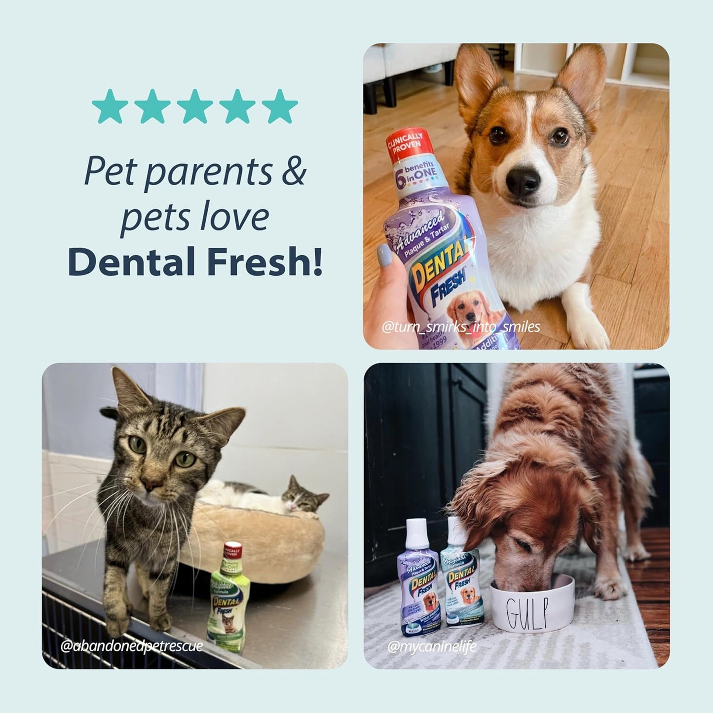 Dental Fresh Water Additive for Dogs, Original Formula, 32oz – Dog Breath Freshener and Dog Teeth Cleaning for Dog Dental Care– Add to Water