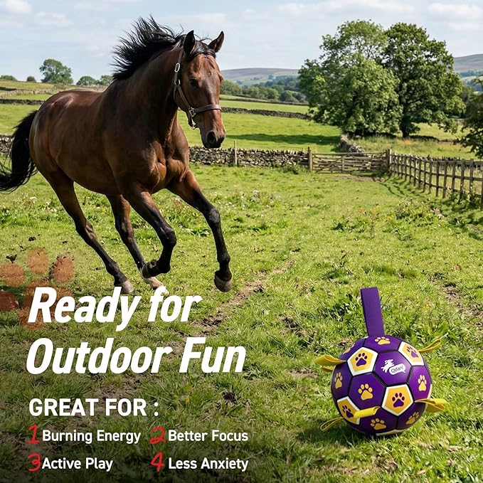 QDAN Extra Large Dog Toys Soccer Ball - Image 3