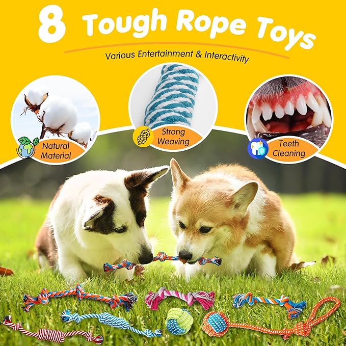 Zeaxuie 25 Pack Luxury Dog Chew Toys - Image 4