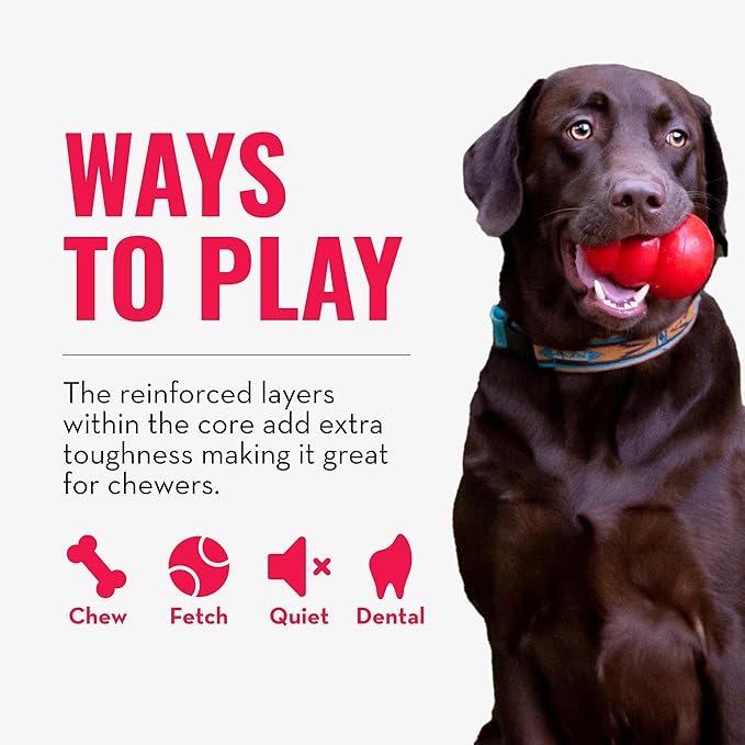 KONG CoreStrength Bow Tie Bone - Image 5
