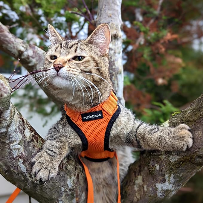 rabbitgoo Cat Harness and Leash - Image 9