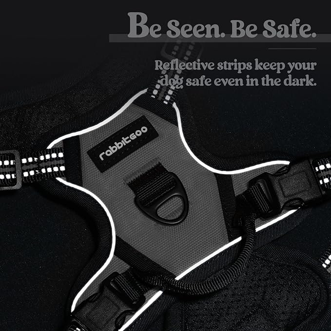 rabbitgoo Dog Harness No Pull - Image 7