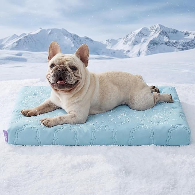 LE SURE Cooling Dog Bed Medium Size Dog, Q-Max>0.5 Cooling Mat by Lesure