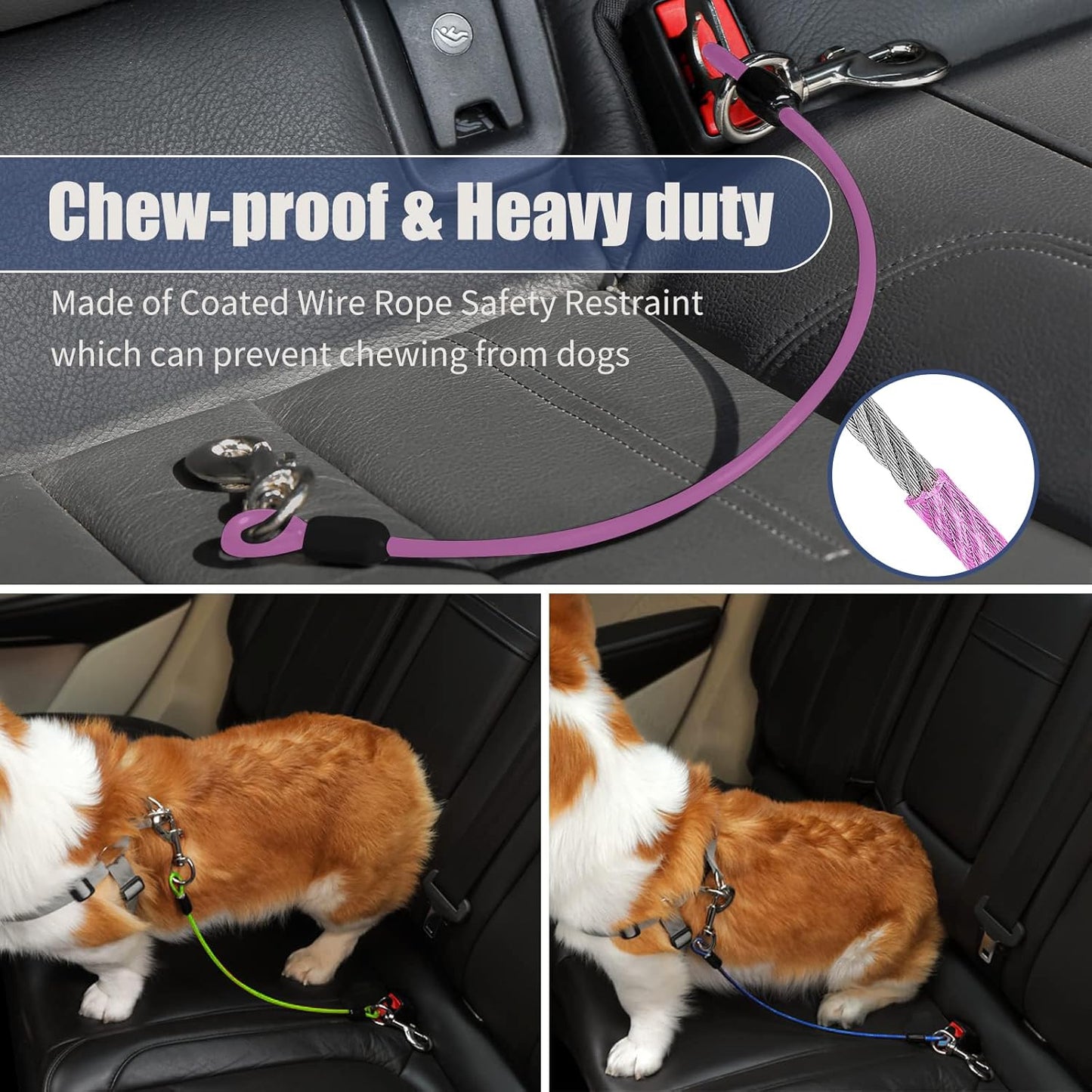 Dog Seat Belt Harness for Car,Dog Seatbelt of Coated Wire Leash Safety Restraint,No Chew Tether Cable Vehicle,Double Clips & Latch(Purple, 32 inch/80 CM)