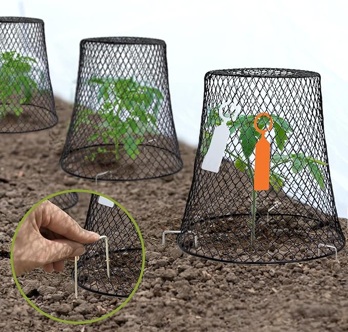 10 Pcs 9.13"×9.13" Chicken Wire Cloche Plant Covers Garden Netting Metal Heavy - Image 7