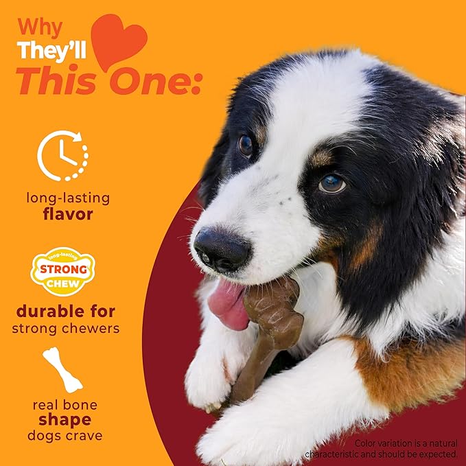 Nylabone Strong Chew Femur Bone Dog Toy Made - Image 3