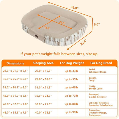 Dwanton Orthopedic Dog Bed for Medium Dogs - Image 4